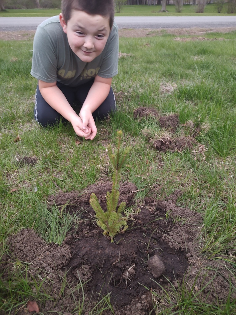 student planting a tree