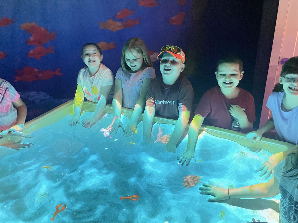 students participating in touch tank at aquarium